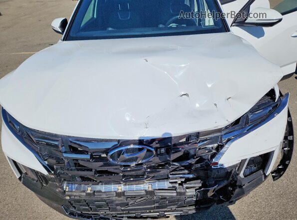 5NTJEDAF6RH092071 2024 HYUNDAI SANTA White 