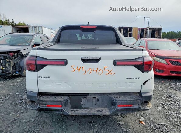 5NTJEDDF0RH102900 2024 HYUNDAI SANTA White Rear view