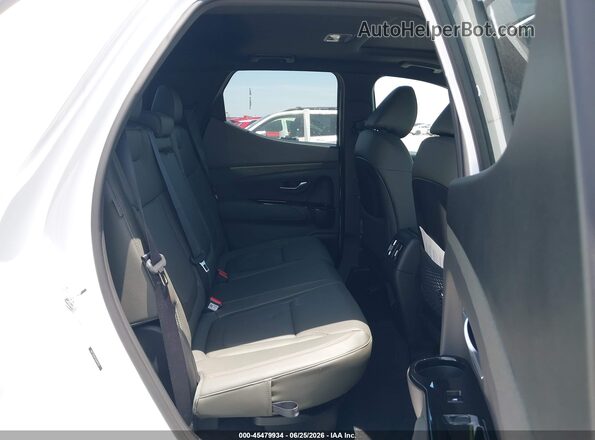 5NTJEDDF2SH131739 2025 HYUNDAI SANTA CRUZ White Вид наклейки з VIN-кодом