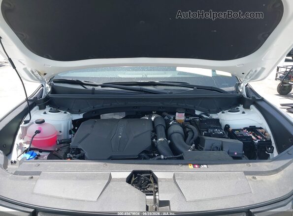 5NTJEDDF2SH131739 2025 HYUNDAI SANTA CRUZ White Вид ззаду