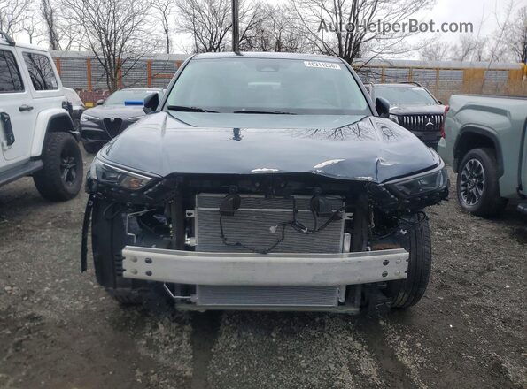 5TDAAAA5XSS030060 2025 TOYOTA GRAND Blue 