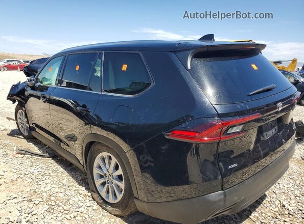 5TDAAAB50SS092307 2025 TOYOTA GRAND Black Задня ліва чверть