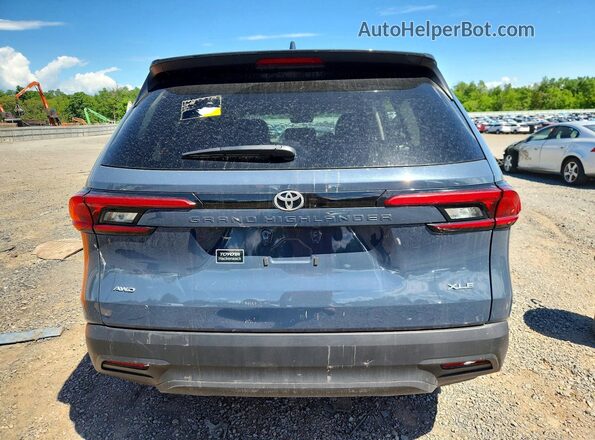 5TDAAAB54RS009990 2024 TOYOTA GRAND Blue Rear view