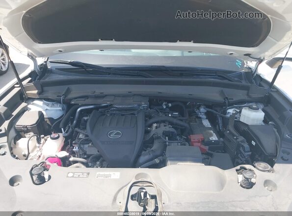5TDAAAB60RS013544 2024 LEXUS TX Белый Вид сзади