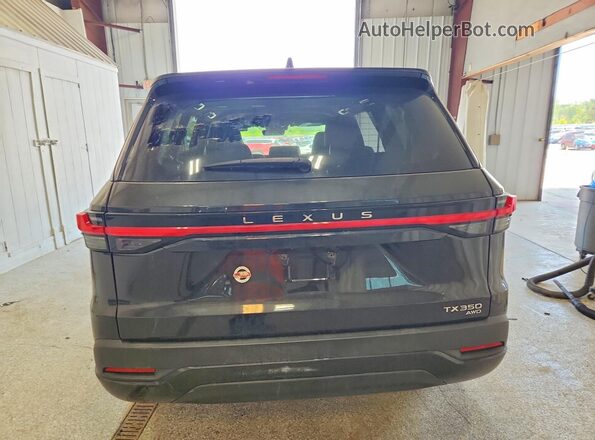 5TDAAAB65RS017444 2024 LEXUS TX Black Vista trasera