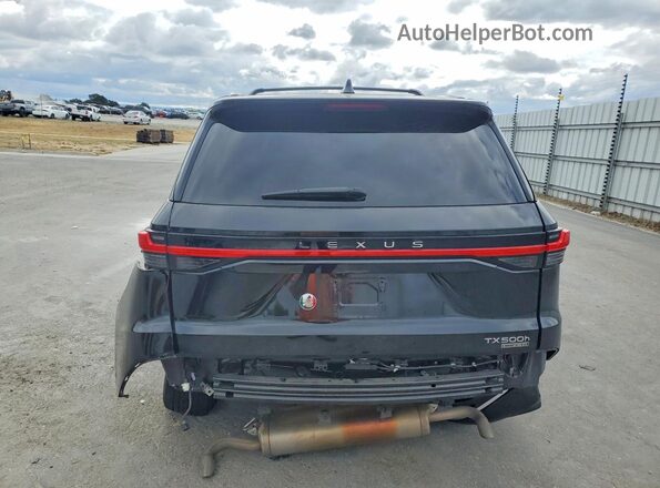 5TDABAB65RS004156 2024 LEXUS TX Black უკანა ხედი