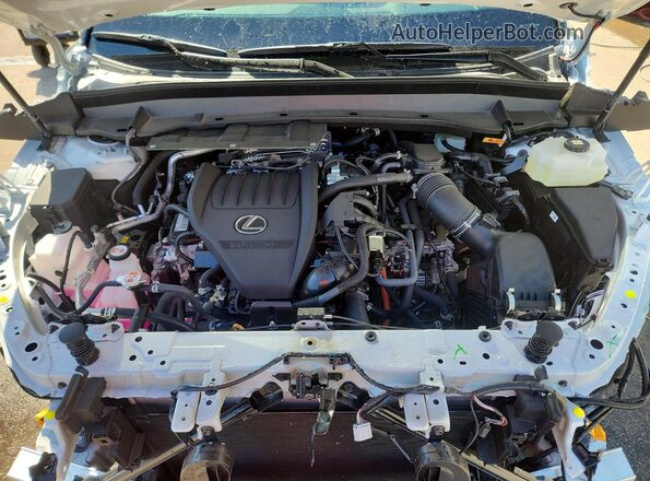 5TDABAB65TS021773 2026 LEXUS TX White Vista del compartimento del motor
