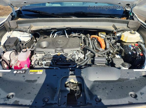 5TDACAB51RS012145 2024 TOYOTA GRAND White Widok wnętrza z tyłu