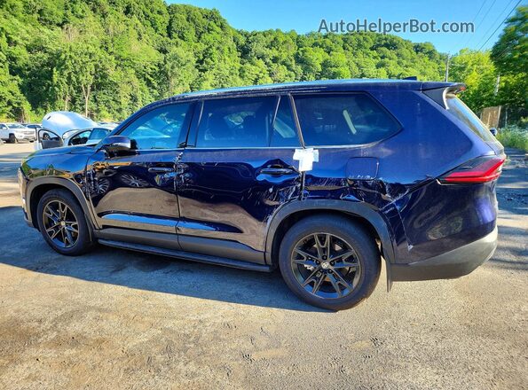 5TDACAB53TS074864 2026 TOYOTA GRAND Blue 