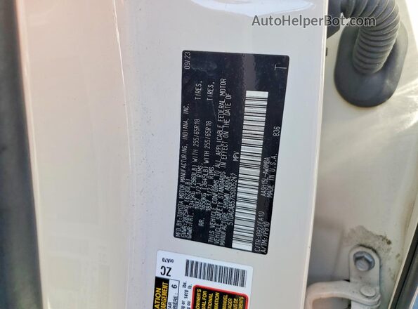 5TDACAB57RS005247 2024 TOYOTA GRAND White Widok naklejki z numerem VIN