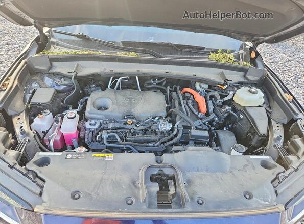 5TDACAB58RS023286 2024 TOYOTA GRAND Black 
