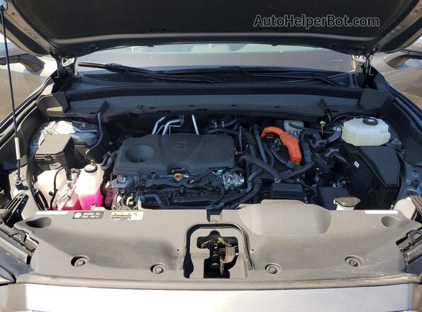 5TDACAB58SS053054 2025 TOYOTA GRAND Серый 