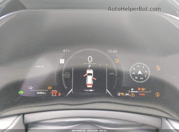 5TDACAC63RS000571 2024 LEXUS TX 550H+ Белый Вид задних сидений