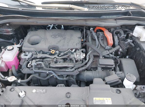 5TDCSKFCXRS112013 2024 TOYOTA SIENNA Black 