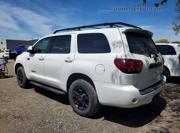 5TDEY5B14MS185903 2021 TOYOTA SEQUOIA White უკანა მარცხენა