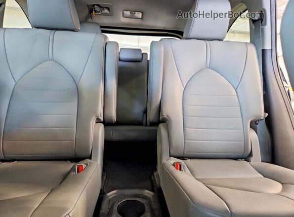 5TDGZRBHXLS004523 2020 TOYOTA HIGHLANDER Blue Rear seats view
