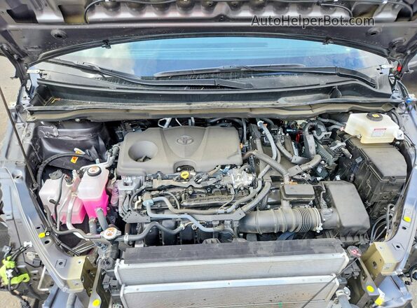 5TDJRKEC1SS263784 2025 TOYOTA SIENNA Угольный 