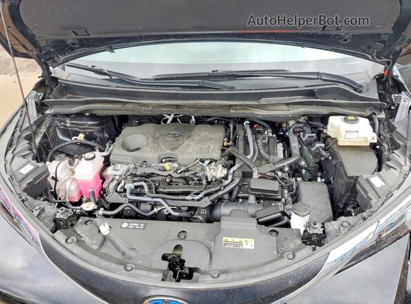 5TDKRKEC0SS233471 2025 TOYOTA SIENNA Black 