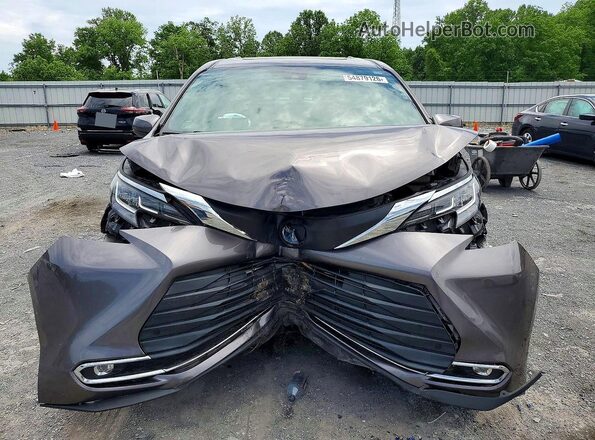 5TDYRKEC1MS025368 2021 TOYOTA SIENNA Gray 