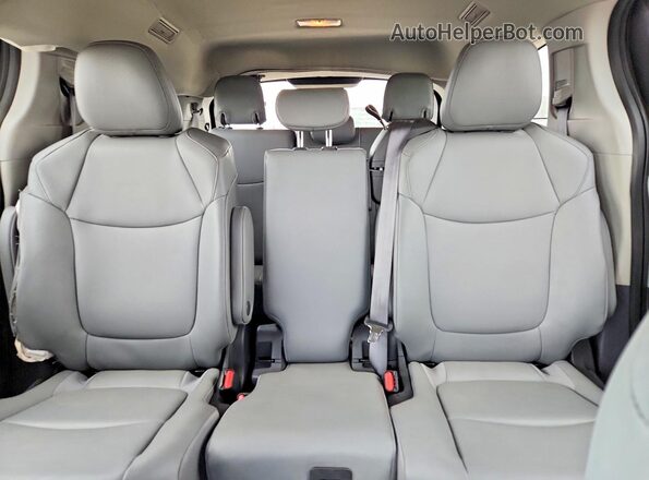 5TDYRKEC6PS173150 2023 TOYOTA SIENNA Black 