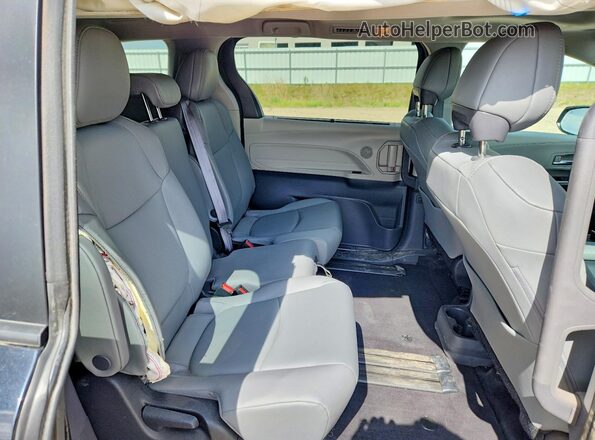 5TDYRKEC6PS173150 2023 TOYOTA SIENNA Black 