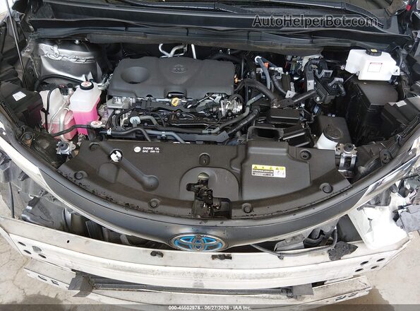 5TDYRKEC7PS155353 2023 TOYOTA SIENNA Brown Vista trasera