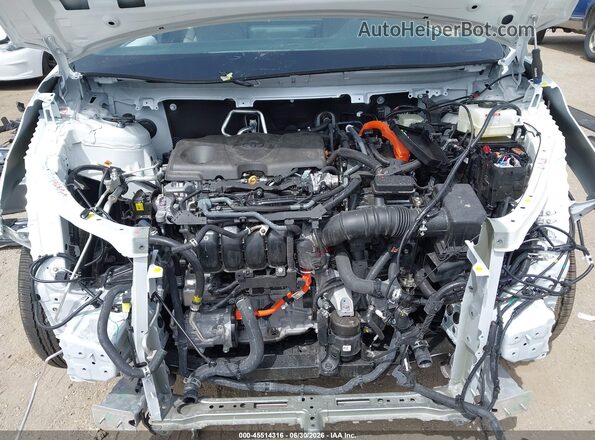 5TDYSKFC2TS242235 2026 TOYOTA SIENNA Белый Вид сзади