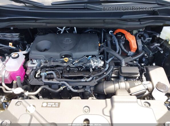 5TDYSKFC6TS258423 2026 TOYOTA SIENNA Black უკანა ხედი