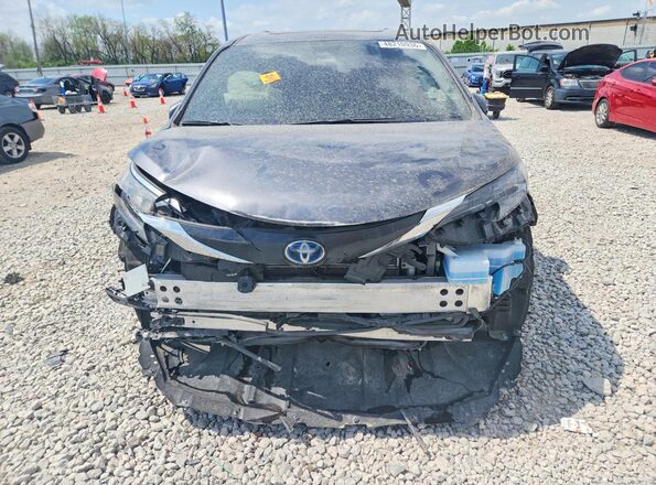 5TDYSKFCXSS211443 2025 TOYOTA SIENNA Gray 