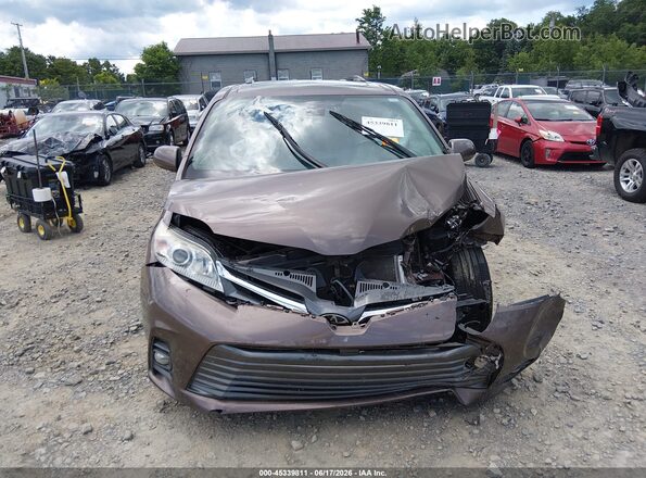 5TDYZ3DC2LS080188 2020 TOYOTA SIENNA Brown Widok wnętrza z tyłu