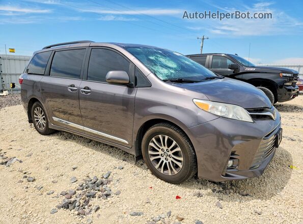 5TDYZ3DC6KS995012 2019 TOYOTA SIENNA Gray 