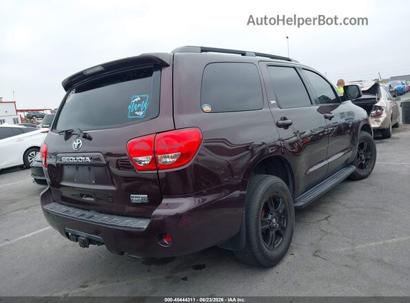 5TDZY5G15GS061363 2016 TOYOTA SEQUOIA Purple უკანა მარჯვენა