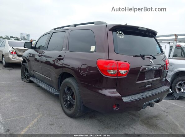 5TDZY5G15GS061363 2016 TOYOTA SEQUOIA Purple უკანა მარცხენა
