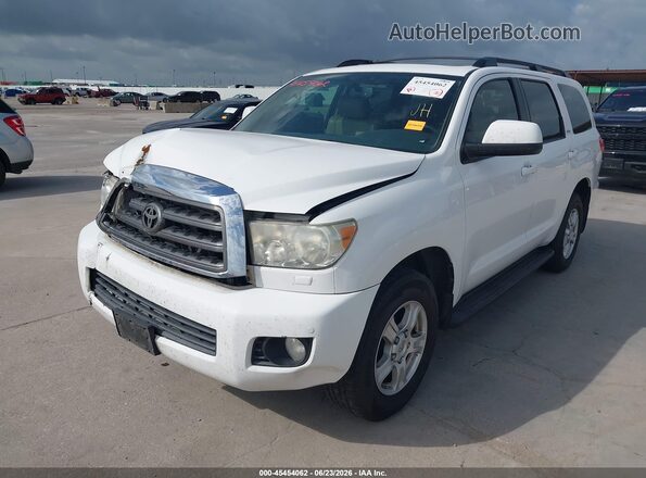 5TDZY5G1XGS061097 2016 TOYOTA SEQUOIA White Przód lewy