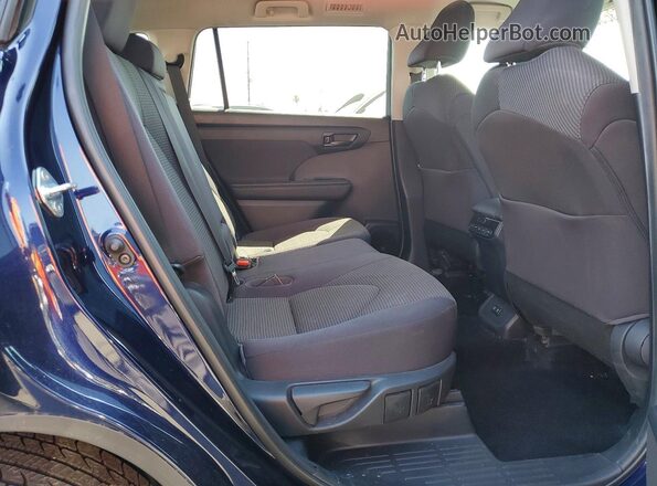 5TDZZRAH2LS506274 2020 TOYOTA HIGHLANDER Blue Սալոնի հետևի տեսք