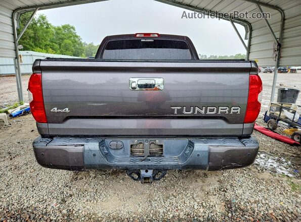 5TFAW5F19HX629940 2017 TOYOTA TUNDRA Серый Вид сзади