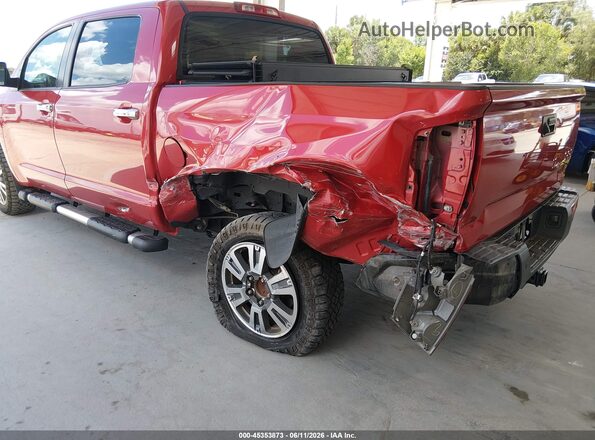 5TFAY5F14JX769331 2018 TOYOTA TUNDRA Red Հետևի ձախ