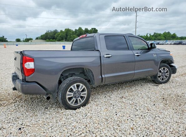 5TFAY5F14MX011607 2021 TOYOTA TUNDRA Gray Задня права чверть