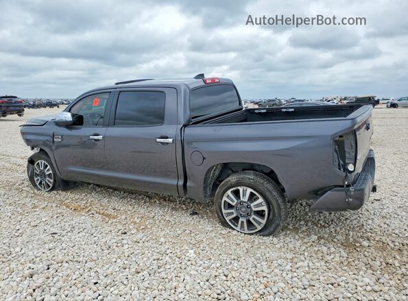 5TFAY5F14MX011607 2021 TOYOTA TUNDRA Gray Задня ліва чверть