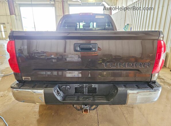 5TFBY5F11KX784360 2019 TOYOTA TUNDRA Brown Widok z tyłu