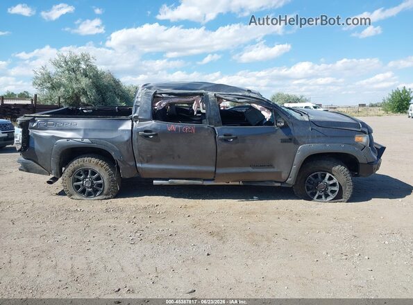 5TFDW5F11GX541296 2016 TOYOTA TUNDRA Gray 360 interior view