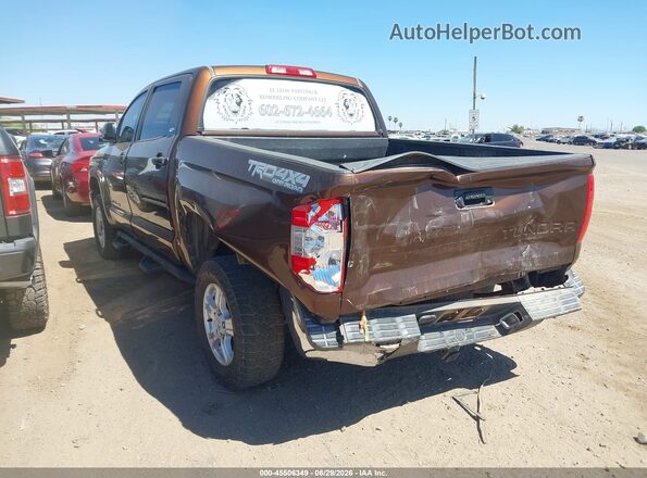 5TFDW5F13GX493798 2016 TOYOTA TUNDRA Brown Հետևի ձախ