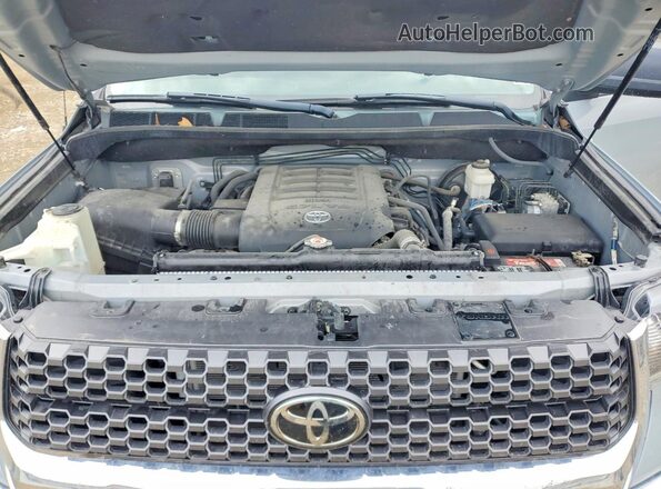 5TFDW5F14KX804454 2019 TOYOTA TUNDRA Серый Вид задней части салона
