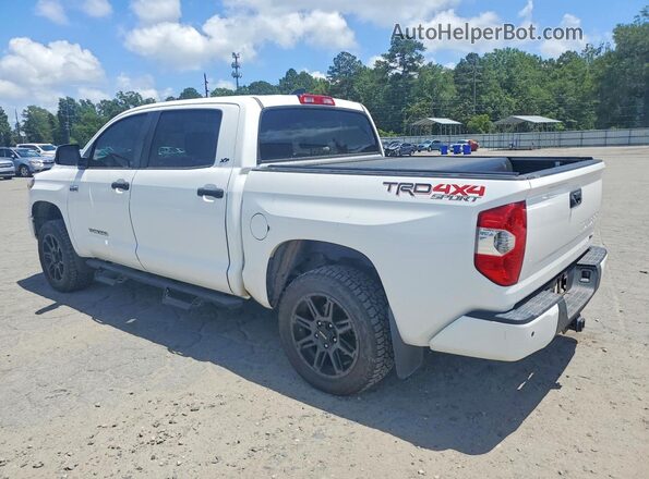 5TFDY5F11LX879642 2020 TOYOTA TUNDRA Белый Задняя левая четверть