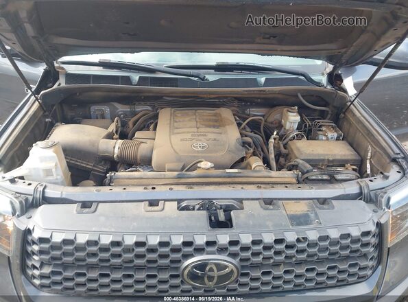 5TFDY5F11LX905642 2020 TOYOTA TUNDRA Серый Вид сзади