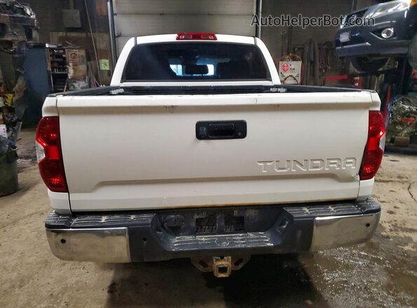 5TFDY5F15KX783107 2019 TOYOTA TUNDRA Белый Вид сзади