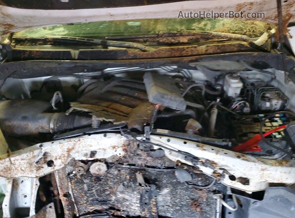 5TFDY5F15KX783107 2019 TOYOTA TUNDRA Белый Вид задней части салона