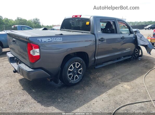 5TFDY5F17KX788888 2019 TOYOTA TUNDRA Gray Հետևի աջ