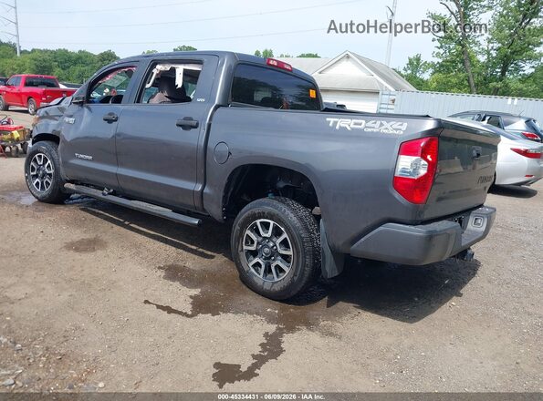 5TFDY5F17KX788888 2019 TOYOTA TUNDRA Gray Հետևի ձախ