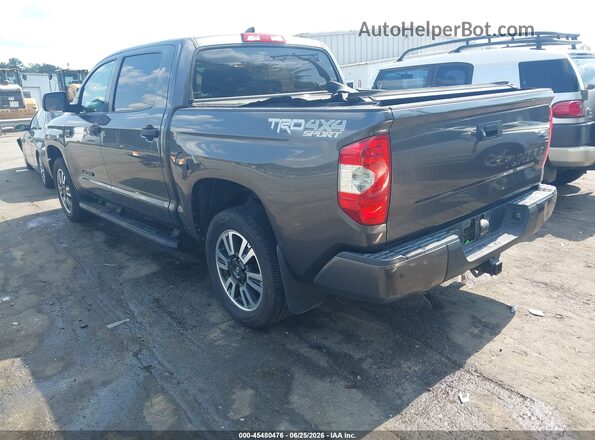 5TFDY5F17LX907119 2020 TOYOTA TUNDRA Gray Tył lewy